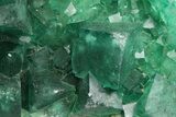 Green, Fluorescent, Cubic Fluorite Crystals - Madagascar #253595-1